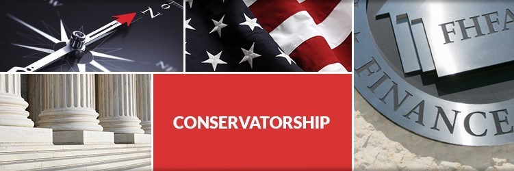 Filing for limited conservatorship